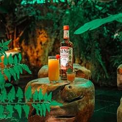 La dégustation de 3 cocktails (avec ou sans alcool) à base du nouveau Rhum Ambré des îles d’Old Nick