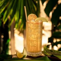 La dégustation de 3 cocktails (avec ou sans alcool) à base de Rhum <i>Ambré des îles</i> d’Old Nick