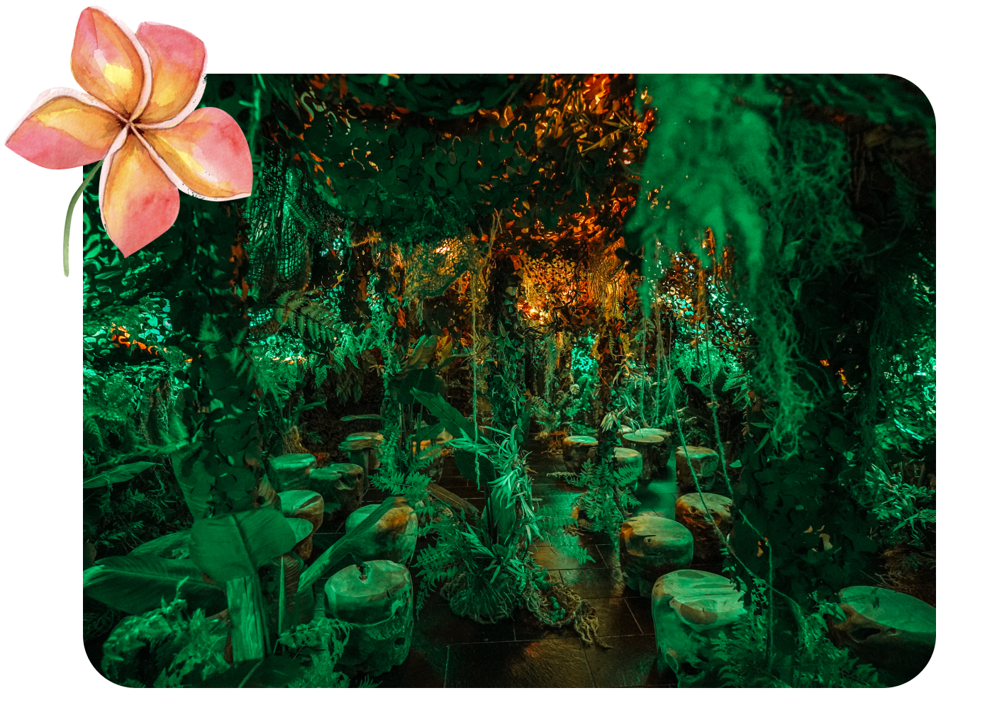 Un décor inspiré de la jungle