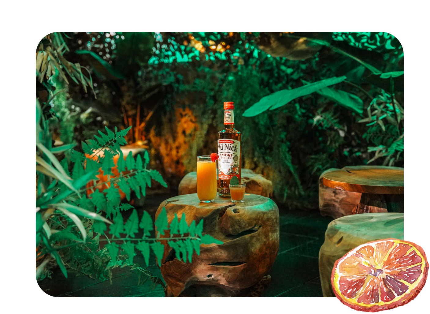 Exemple de cocktail servi lors de l'expérience Secret Jungle à Lyon