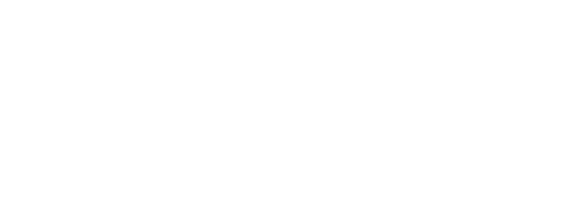 Lyon Secret